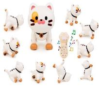 Opakowanie Robokot RC