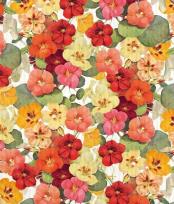 Opakowanie Ściereczka do naczyń Nasturcja STDISH26