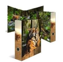 Opakowanie Segregator Tygrys 7cm