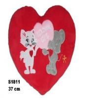 Opakowanie Serce Kocham Cię - Kot 37cm MIX