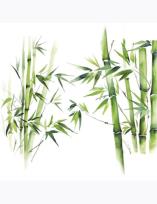 Opakowanie Serwetki DAISY Lunch SD 330x330 Bambusy 044401