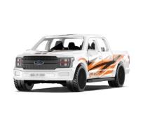 Opakowanie Siku Magenta - Ford F150 S1109