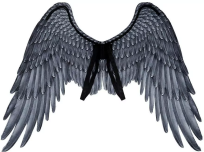 Opakowanie Skrzydła Archanioła czarne 95x75cm