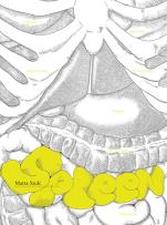 Okładka książki Spleen