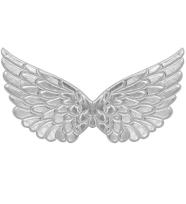 Opakowanie Srebrne skrzydła