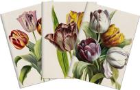 Opakowanie Stone 503 Zestaw 3 notatników A6 - tulipany