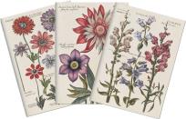 Opakowanie Stone 511 Zestaw 3 notatników A6 - kwiaty