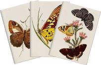 Opakowanie Stone 512 Zestaw 3 notatników A6 - motyle