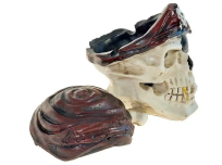 Opakowanie Szkatułka czaszka pirata