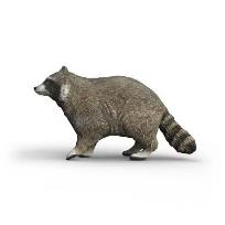 Opakowanie Szop pracz