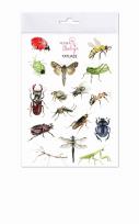 Opakowanie Tatuaże zmywalne Owady