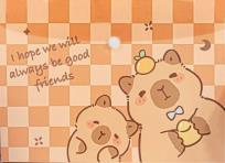 Opakowanie Teczka A4 kopertowa na zatrzask Kapibara