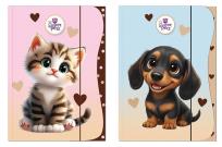 Opakowanie Teczka A4 z gumką The Sweet Pets mix