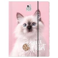 Opakowanie Teczka z gumką A4 Cleo i Frank 45 (kot) DERFORM