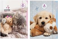 Opakowanie Teczka z gumką A4 The Sweet Pets Kids
