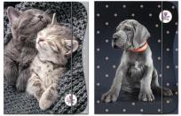 Opakowanie Teczka z gumką A4 The Sweet Pets