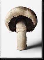 Okładka książki The Gourmand's Mushroom. A Collection of Stories & Recipes