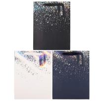 Opakowanie Torba prezentowa Party 18x23x10cm mix STRIGO