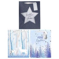 Opakowanie Torba prezentowa Święta 18x23x10cm mix STRIGO