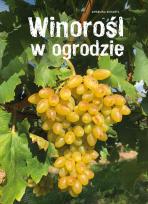 Okładka książki Winorośl w ogrodzie