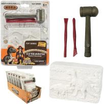 Opakowanie Wykopaliska paleontolog dinozaur