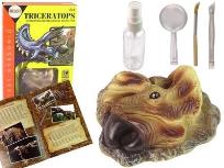 Opakowanie Wykopaliska triceratops