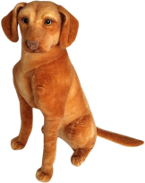 Opakowanie Wyżeł siedzący 44cm