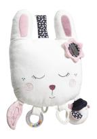 Opakowanie Zabawka edukacyjna z pozytywką i światłem LED