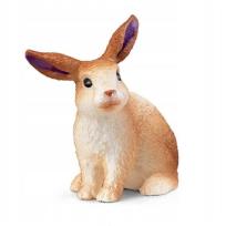 Opakowanie Zajączek fioletowy