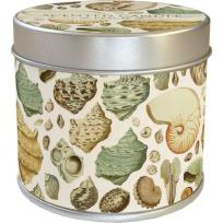 Opakowanie Zapachowa świeczka Muszle - zapach brzoskwiniowy