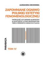 Okładka książki Zapomniane ogniwo polskiej estetyki fenomenologicznej. Twórczość Ady Werner-Silberstein w kontekście