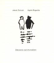 Okładka książki Zdarzenie nad strumykiem