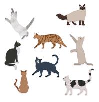 Opakowanie Zestaw wykrojników koty 8szt