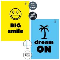 Opakowanie Zeszyt A4/32K kratka margines Big Smile (6szt)