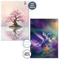 Opakowanie Zeszyt A4/32K linia 90g Sakura Koliber (6szt)