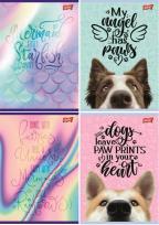 Opakowanie Zeszyt A4/32K linia podwójna dwukolor mix (15szt)