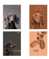 Opakowanie Zeszyt A4/60k kratka Doggy Moods (10szt)