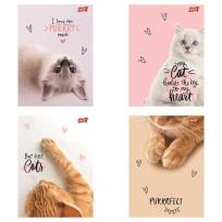 Opakowanie Zeszyt A5/60k kratka Purrfect Moments (10szt)