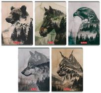 Opakowanie Zeszyt A5/60K kratka Wild (10szt) HERLITZ