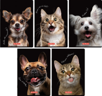 Opakowanie Zeszyt A5/80K kratka z marginesem Animal (5szt)