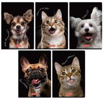 Opakowanie Zeszyt A6/32K kratka Crazy Animal MIX (12szt)