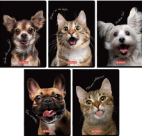 Opakowanie Zeszyt do słówek A6/16K kratka Crazy Animal(20szt)