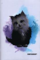 Opakowanie Zeszyt PP JOY A4 w trzy linie 32 kartki