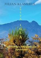 Okładka książki Żółta igła