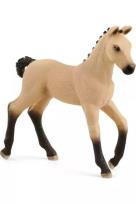 Opakowanie Źrebię rasy Hanoverian